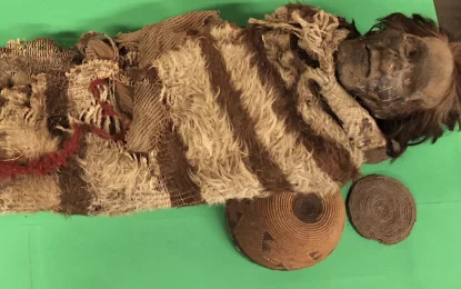 Descubren los orígenes de momias de San Juan a partir del ADN humano en los piojos